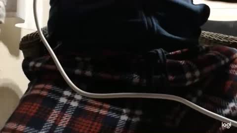 flowerpower622 online show from January 2026 10:23:01 PM