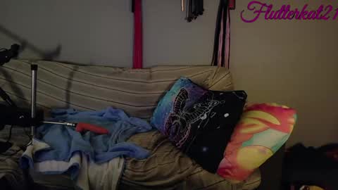 FlutterKat online show from March 2026 03:29:01 PM