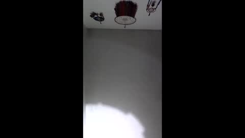 foxjr225 online show from February 2026 03:46:02 AM