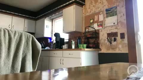 Snapshot of frankdaddy896 chatting on April 2026 12:38:01 PM Frank online show from April 2026 12:38:01 PM