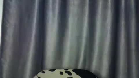 Snapshot of freaky_brula chatting on July 2026 02:00:02 AM freaky brula online show from July 2026 02:00:02 AM