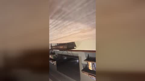 freddytiffany77 online show from June 2026 08:28:01 AM