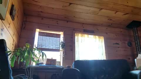 Snapshot of frederickory chatting on March 2026 08:22:02 PM Anderson fz online show from March 2026 08:22:02 PM