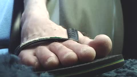 Greedy Fred online show from March 2026 02:44:02 PM