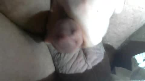 Call me Daddy online show from February 2025 07:07:02 AM