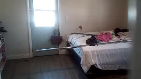 Snapshot of fuckroundfindout513116 chatting on January 2025 05:35:01 PM fuckroundfindout513116 online show from January 2025 05:35:01 PM