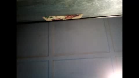 Warwick online show from February 2025 07:56:01 AM