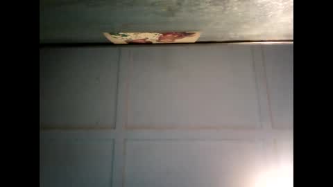 Warwick online show from February 2025 07:33:02 AM