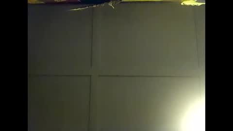 Warwick online show from November 2025 02:07:02 PM