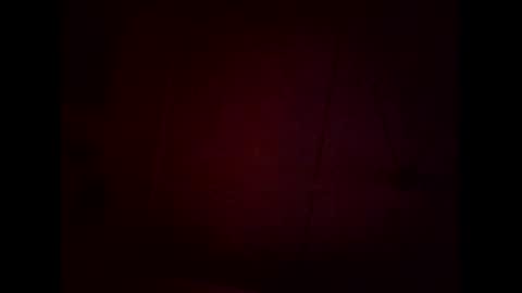 Warwick online show from February 2026 11:35:02 AM