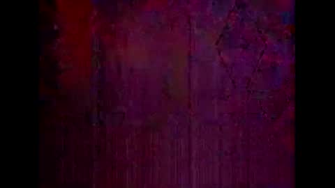 Warwick online show from February 2026 11:36:01 AM