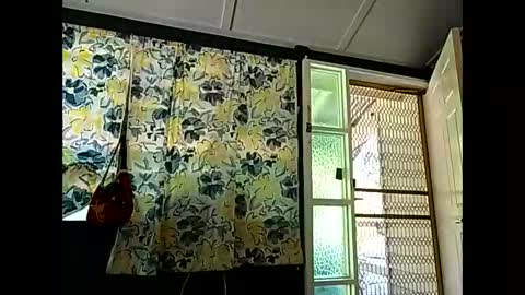 Warwick online show from April 2026 02:28:01 AM