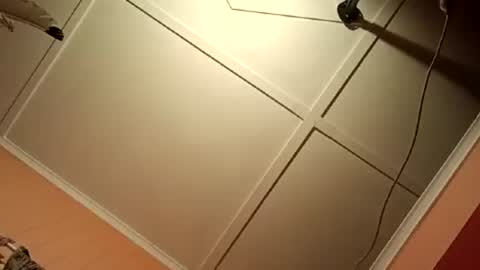 Snapshot of fucmebudoo chatting on July 2026 04:37:01 AM Warwick online show from July 2026 04:37:01 AM