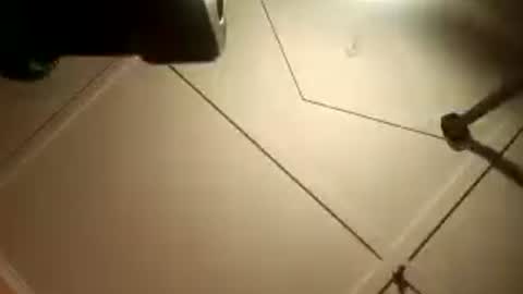 Snapshot of fucmebudoo chatting on August 2026 02:32:02 AM Warwick online show from August 2026 02:32:02 AM