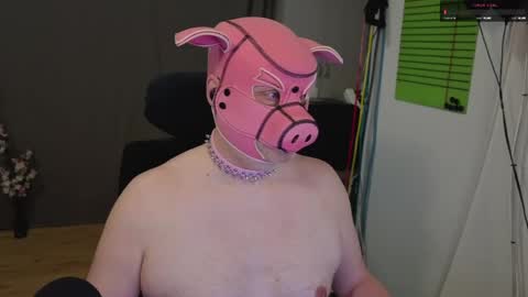 Piggy online show from May 2026 09:13:01 PM