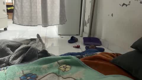 Snapshot of gab021593 chatting on December 2025 01:30:01 PM gab021593 online show from December 2025 01:30:01 PM