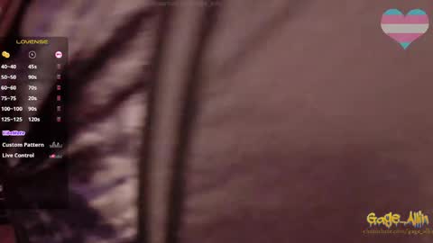 Gage Allin AKA Alpha Pussy online show from April 2026 10:37:02 PM