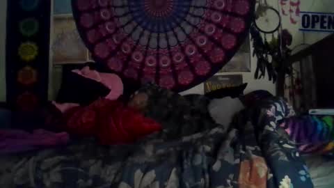 Gardenia online show from February 2026 08:46:02 AM