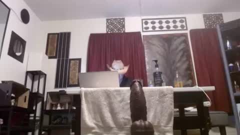 gatewaylaptop2019 online show from April 2026 11:30:02 AM