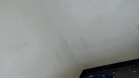 gelo online show from March 2026 12:54:02 PM