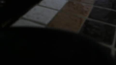 Snapshot of gene4 chatting on December 2024 07:29:01 PM gene online show from December 2024 07:29:01 PM
