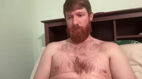 gingermania10 online show from December 2024 07:40:02 PM