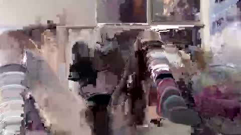 black  white online show from March 2026 12:59:01 AM