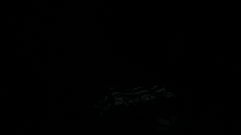 goatchocolate online show from December 2024 05:45:02 AM