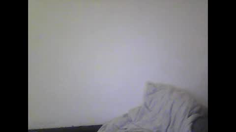 Snapshot of gohan8558 chatting on December 2024 10:28:01 PM gohan8558 online show from December 2024 10:28:01 PM