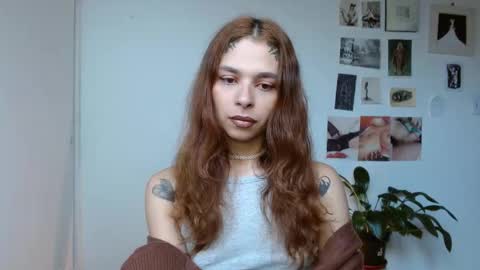 Alaska online show from December 2025 02:23:02 PM