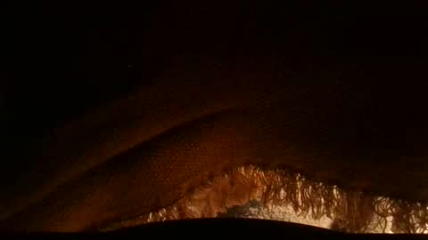 Serg online show from April 2026 10:13:01 AM