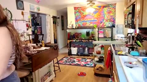 Snapshot of goodgirlcelestecat chatting on November 2025 04:05:01 PM goodgirlcelestecat online show from November 2025 04:05:01 PM