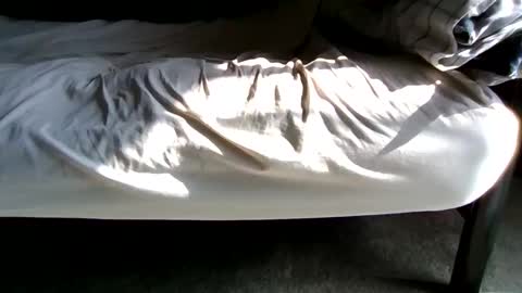 watch me stroke online show from February 2026 06:08:01 PM