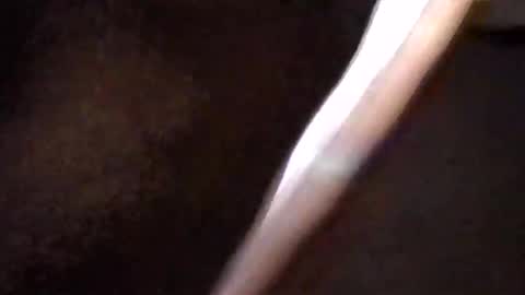 Get US to 1000 you wont be disapointed online show from March 2026 05:44:01 AM