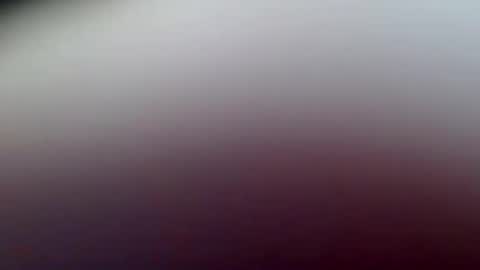 habitus1 online show from February 2025 11:17:02 AM