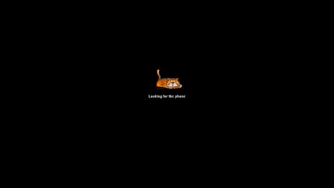 hacigonzales online show from February 2026 11:58:01 PM