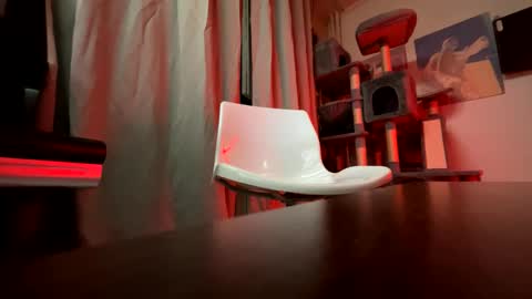 haildave6 online show from April 2026 12:41:01 AM