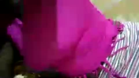 Snapshot of hairy_africanbae chatting on July 2026 10:01:01 PM hairy_africanbae online show from July 2026 10:01:01 PM