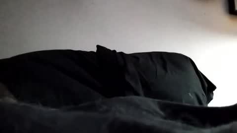 Marty online show from February 2026 12:53:01 AM