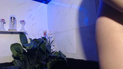 Snapshot of hana_soojin chatting on February 2026 04:16:02 PM hana_soojin online show from February 2026 04:16:02 PM