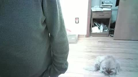 Hardy-Har online show from January 2025 08:01:01 PM