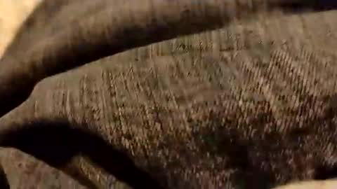 hardandhorny422 online show from January 2026 06:44:02 PM