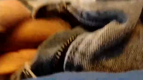 hardandhorny422 online show from January 2026 03:49:02 PM