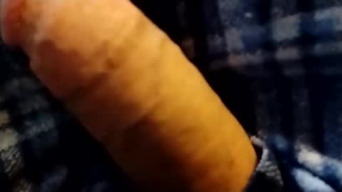 hardandhorny422 online show from February 2026 09:02:02 PM