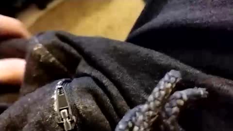 hardandhorny422 online show from February 2026 01:05:02 PM