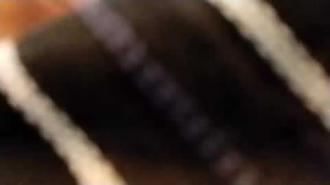 hardandhorny422 online show from February 2026 03:51:01 PM