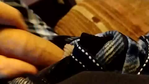 hardandhorny422 online show from April 2026 06:35:01 PM