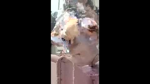 harleen848 online show from May 2026 10:31:01 AM