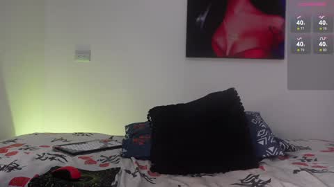 HARRY online show from December 2024 05:08:01 PM