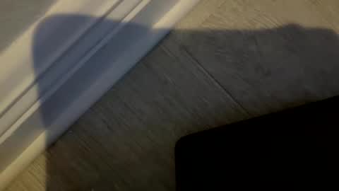 haufd online show from January 2026 03:54:02 AM